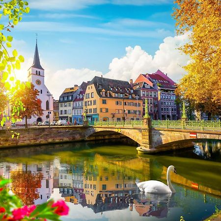 Bel Ami 01 - Turquoise & Or - Moderne Chic - Centre Ville - Acces Jardin - Clim - Wifi - Parking - Localisation Ideale Schiltigheim Bagian luar foto
